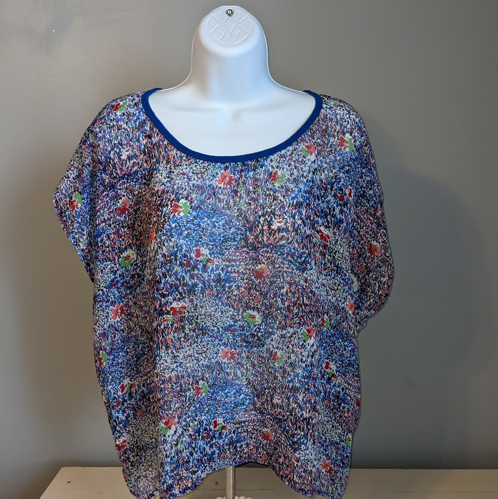 Sheer Multicolored Top
